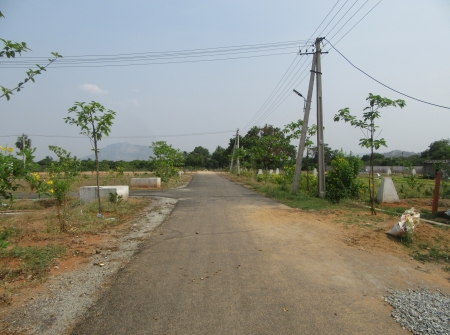 442505303-1) Li id 409 - Pic 2.JPG